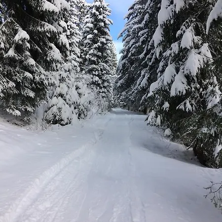 Pension Brixen Im Thale * Brixen im Thale