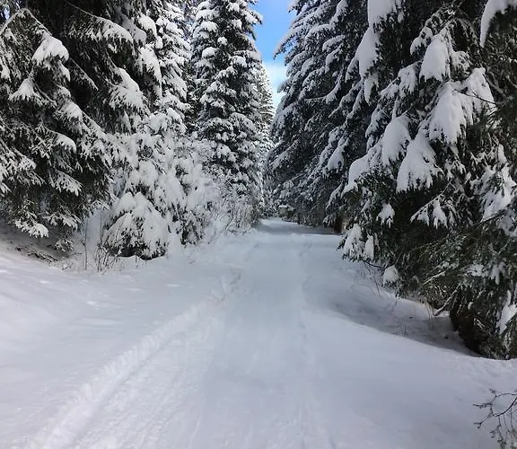 Pension Brixen Im Thale * بريكسن ام تاله